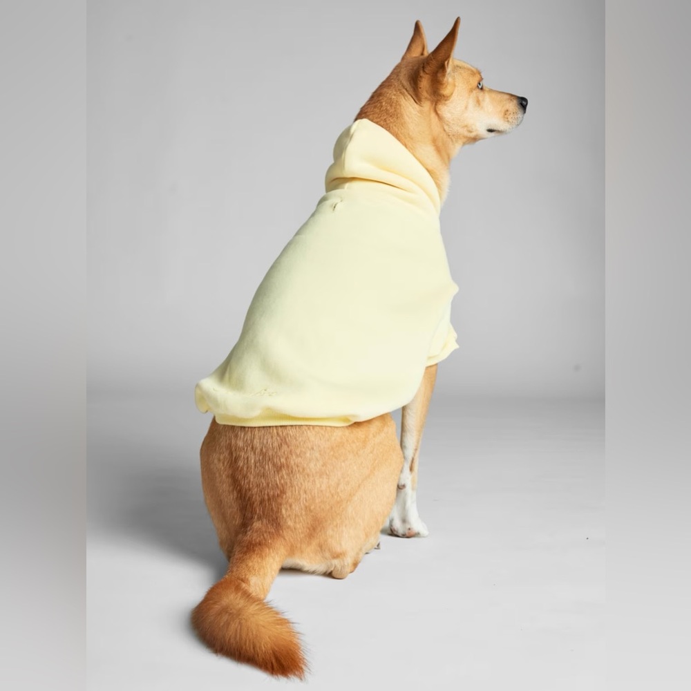 Comfrt Minimalist Paw Hoodie In Buttercream - Picture 2 of 6